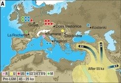 <p>The study supports a single and rapid dispersal of all non-Africans populations around 50,000 years ago not only across Asia but also into Europe.</p>