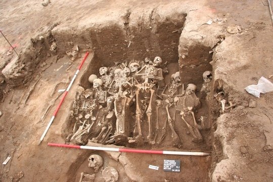 <p>Mass grave in Ellwangen, Southern Germany. Source of one of the bacterial strains whose genome was reconstructed in the present study.</p>
