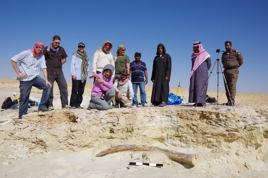 Mammal fossils provide information on past environments and inter-continental dispersals. Here an elephant tusk has been excavated under a palaeolake bed.