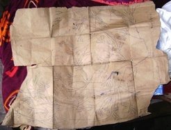 Genealogy drawn up by a participant based on information from his grandfather, August, 1964