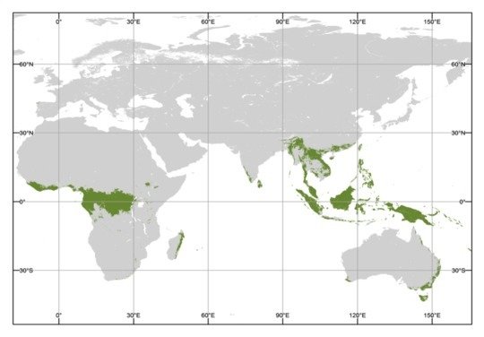 Modern rainforest distribution