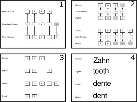 <p>Algorithmen durchforsten riesige Sprachdatenbanken, um die Verwandtschaftsbeziehungen der heute gesprochenen Sprachen zu ermitteln. Diese können wir oft schon durch den Vergleich einzelner Wörtern nachweisen, wie in dieser Beispielgrafik, die die Entwicklung des Wortes "Zahn" in verschiedenen indogermanischen Sprachen zeigt.</p>