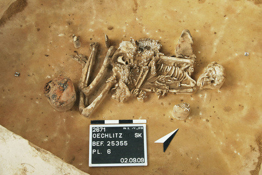 Corded Ware burial with vessel, perforated animal teeth and shell sequins, Oechlitz, Saalekreis, Saxony-Anhalt
