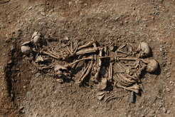 Grave 99 (father, mother, 2 sons) in situ, Naumburg, district Burgenlandkreis, Corded Ware culture ca. 2659-2501 B.