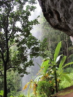 <span>View from Batadomba-lena rockshelter in the Wet Zone rainforest of Sri Lanka</span>