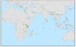 <p>Samples used in previous project analyses by Eager (shown in green) and those collected but not yet analyzed (shown in black)</p>