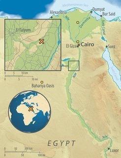 Map of Egypt, showing the archaeological site of Abusir-el Meleq (orange X), and the location of the modern Egyptian samples used in the study (orange circles).