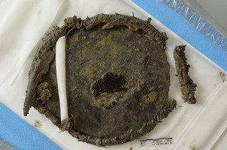 The wooden artifact in the laboratory.