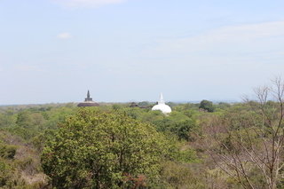 <p>Relikte buddistischer Bauwerke, die aus dem Topenwald bei Polonnaruwa auf Sri Lanka hervorragen. - Neuere Methoden haben gezeigt, dass frühe Populationen riesige urbane Siedlungen geschaffen haben. Daraus, wie diese alten urbanen Zentren mit Umweltherausforderungen wie Bodenerosion, Muren und Dürre umgegangen sind, lassen sich Lehren auch für die Gestaltung der weiter wachsenden städtischen Ballungsräume der Gegenwart ziehen.</p>