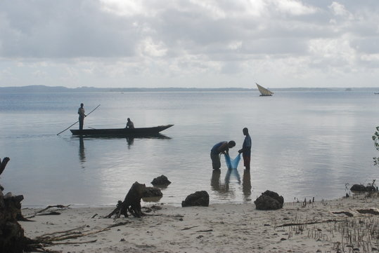 Wet-sieving at the site of Ras Mkumbuu, Pemba Island, Zanzibar, Tanzania. Ras Mkumbuu is a 10<sup>th</sup> century Swahili trading port. Faunal remains, including those analyzed in this study, were recovered at this site.