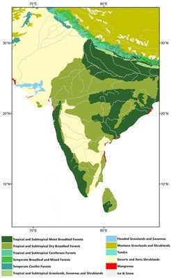 Modern ecological map of South Asia (following Olson <em>et al.</em>, <span class="link__reference js-link__reference">2001</span>).
