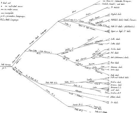 August Schleicher's phylogenetic tree of the indo-european languages in his open letter to Ernst Haeckel.
