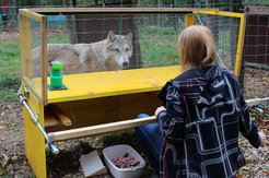 The test animals had to make inferences about the location of hidden food by using the cues provided by the researcher.