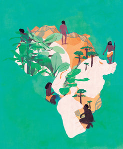 The patchwork of diverse fossils, artefacts and environments across Africa indicate that our species emerged from the interactions between a set of interlinked populations living across the continent, whose connectivity changed through time.