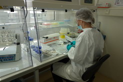 Erstautorin Jessica Hendy im Proteomiklabor des Max-Planck-Instituts für Menschheitsgeschichte in Jena.