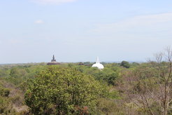 Relikte buddistischer Bauwerke, die aus dem Topenwald bei Polonnaruwa auf Sri Lanka hervorragen.