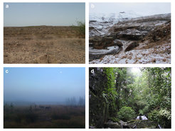 Some of the ecological challenges faced by Pleistocene H. sapiens. a. The Thar Desert of northwest India at the site of Katoati. Credit: James Blinkhorn. b. The highlands of Lesotho at the site of Sehonghong. Credit: Brian A. Stewart. c. The Siberian steppe of Russia. Credit: Yuri Demyanov. d. The tropical evergreen rainforest of Sri Lanka in the vicinity of one of the earliest occupied sites in the region. Credit: Patrick Roberts.
