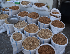 Venders in the Samarkand bazaar sell a diverse array of almonds, an arboreal crop that originated somewhere in southern Central Asia or the Iranian Plateau. The roasted pits of apricots are also one of the most prominent nuts in the Central Asian markets; these specific varieties have been domesticated for sweeter less alkaline nuts.