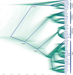 Ein DensiTree, der die posteriore Verteilung von Phylogenien darstellt. Der blaue Baum ist der maximum clade credibility tree, die grünen Bäume sind Einzelbäume aus der späteren Stichprobe. Die Zahlen im Baum zeigen die Unterstützung der Sprachfamilien durch die spätere Klade an.