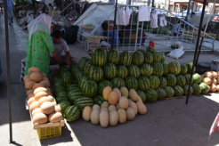 Melonenverkäufer auf dem Samarkand-Basar. Es es gibt hunderte Melonenarten, die noch immer in Zentralasien angebaut werden, und die Bauern sind in der Regel sehr stolz auf ihre lokalen Sorten. Einige dieser Sorten dürften mindestens 1000 Jahre alt sein und aus der Zeit der Zeit der Besiedlung von Tashbulak stammen.