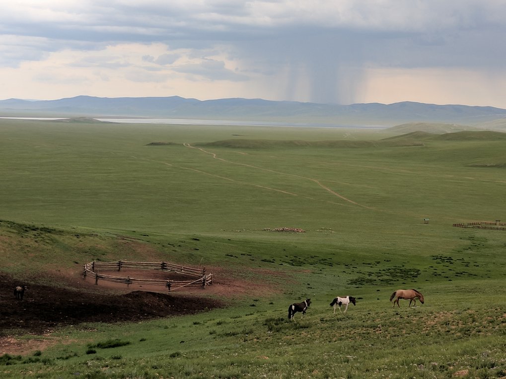 Horses graze at Erkhel Lake in northern Mongolia, overlooking a large Bronze Age archaeological complex.