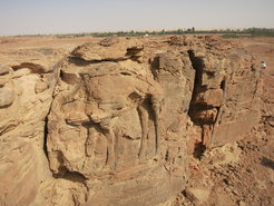 Naturalistic rock reliefs of life-sized camels and equids from the "Camel Site" in northern Saudi Arabia.