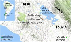 Map showing the location of sites examined in this study.
