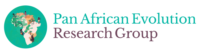Eleanor Scerri übernimmt Leitung der Max-Planck-Lise-Meitner-Gruppe für Pan African Evolution