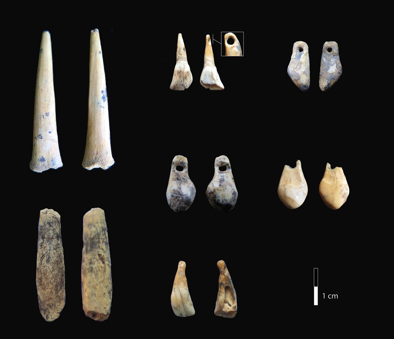 Bone points and pierced teeth from the early Upper Paleolithic layers of Denisova Cave sampled for radiocarbon dating.