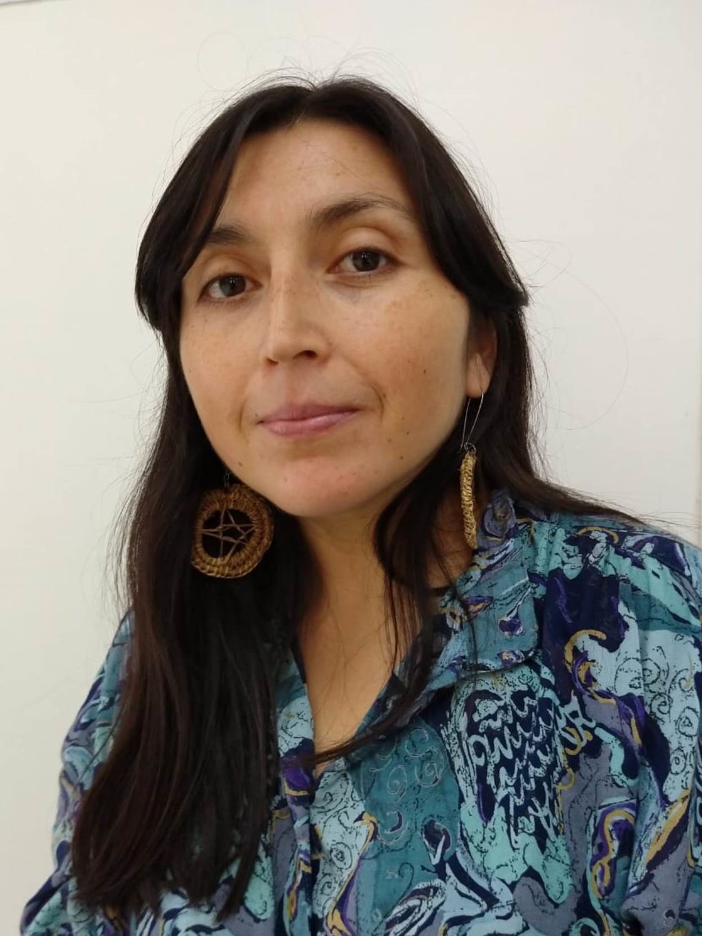 María José Aninao A. María José Aninao A.