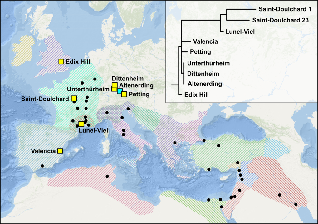 Map and phylogenetic tree showing the newly published (yellow) and previously published (turquoise) genomes. Shaded areas and dots represent historically recorded outbreaks of the First Pandemic.