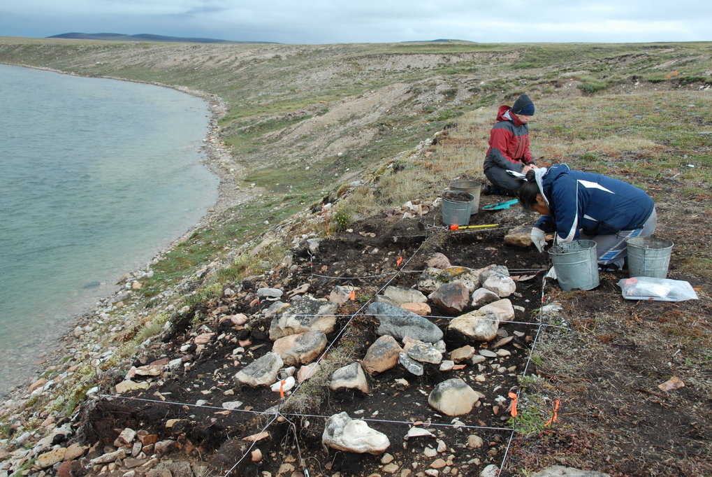 The excavation of the Middle Dorset individual from the Buchanan site on southeastern Victoria Island, Nunavut, Central Canadian Arctic.