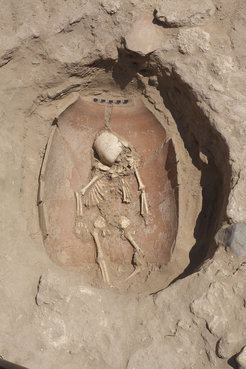 Säuglingsbestattung auf dem philistinischen Friedhof der Stadt Ashkelon.