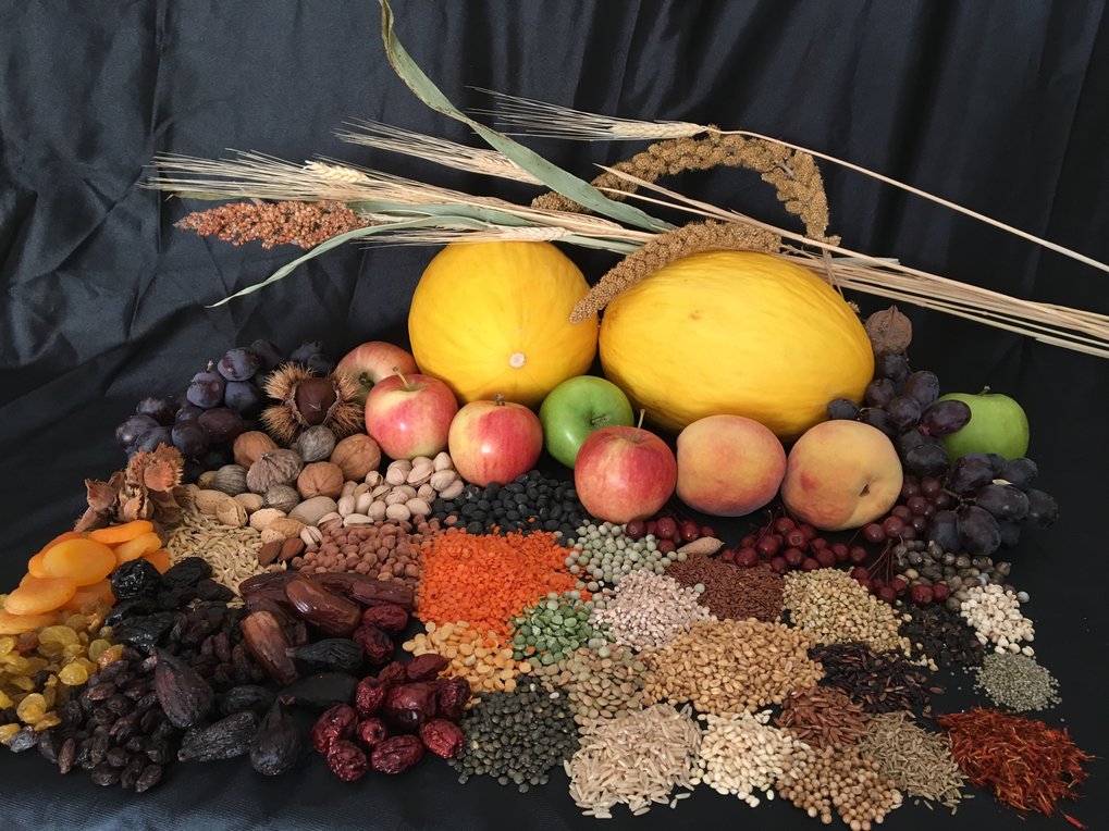 Many of the most familiar fruits, nuts, grains, and spices in your kitchen can trace at least part of their story back to the ancient Silk Road. Dr. Spengler presents the story for many for the plants depicted in this picture, relying on historical sources and recent archaeobotanical discoveries.