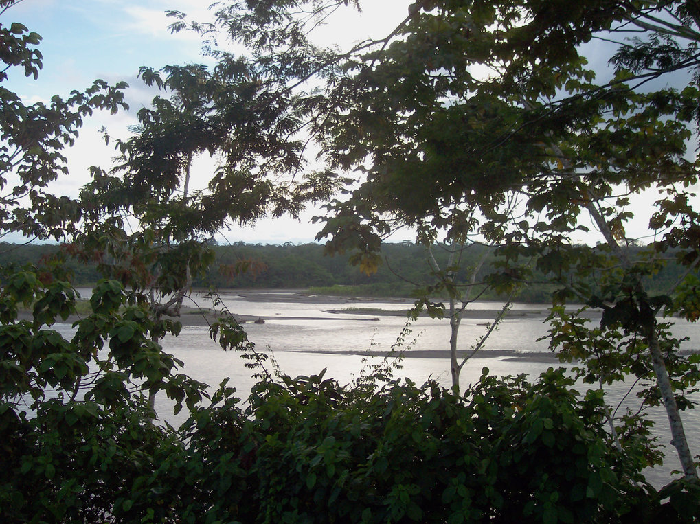 The rainforest landscape near a Kichwa-speaking village in the province of Orellana, Ecuador
