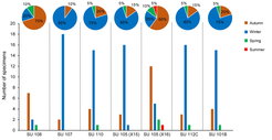 Seasonality of Phorcus lineatus collection by stratigraphic unit (SU). The figure shows the absolute number (bars) and the percentage (pies) of samples assigned to each season.