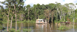Schwimmende Gemeinde auf dem Amazonas in der Nähe von Manaus, Brasilien