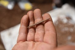 Worked bone artifact from Panga ya Saidi cave, 2017