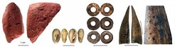 Worked artifacts from Panga ya Saidi cave (from left to right): worked red ochre; bead made of a sea shell; ostrich eggshell beads; bone tool; close-up of the bone tool showing traces of scraping.