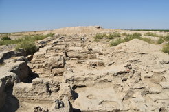 Der Blick über die Rabat oder Karawanserei in Paykend auf die alte Zitadelle der Stadt. Im Rahmen des FEDD-Projekts wurden 2019 an diesem Standort Sedimentproben für archäobotanische Analysen entnommen.