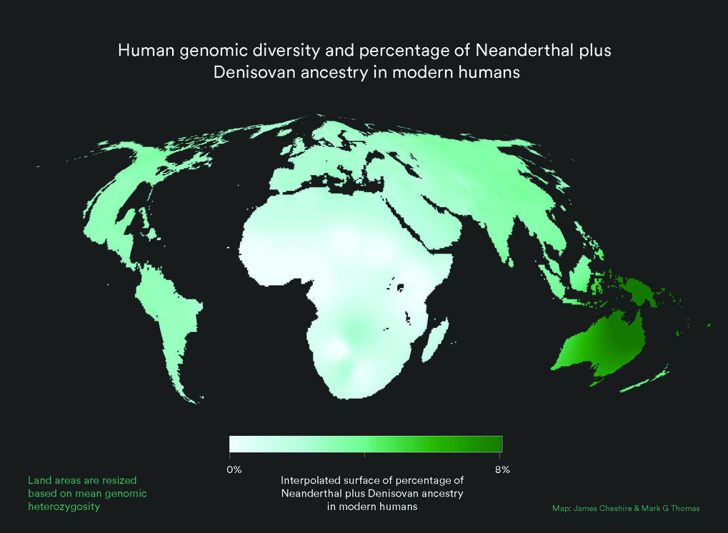 World map with land area resized to represent modern human genetic diversity and colour representing Neanderthal plus Denisovan ancestry. As can be seen, contributions from other populations to the Homo sapiens gene pool are small and unevenly distributed. Africa is disproportionately large because the great human genetic diversity - and hence the roots of humanity - are found here.