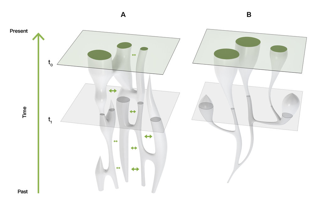 Different models of population history. T0 and T1 represent time slices in the present and past, respectively. a) A metapopulation, which includes population fission, fusion, gene flow and local extinction. b) A tree model, which includes population fission and extinction only.