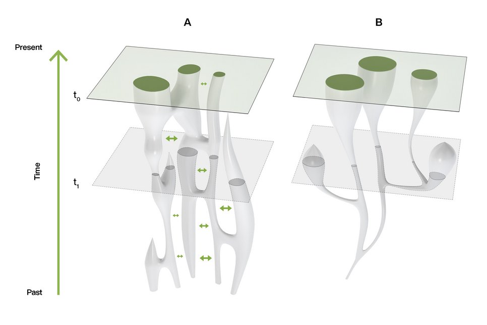 Different models of population history. T0 and T1 represent time slices in the present and past, respectively. a) A metapopulation, which includes population fission, fusion, gene flow and local extinction. b) A tree model, which includes population fission and extinction only.