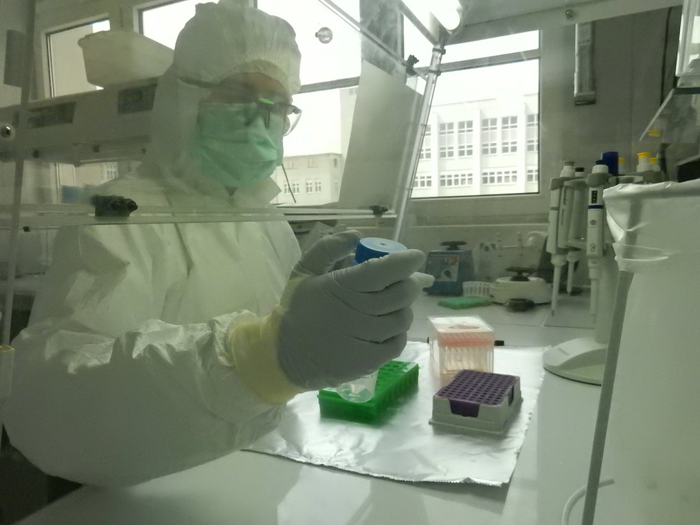 Maria Spyrou in the clean lab of the Max Planck Institute for the Science of Human History in Jena.