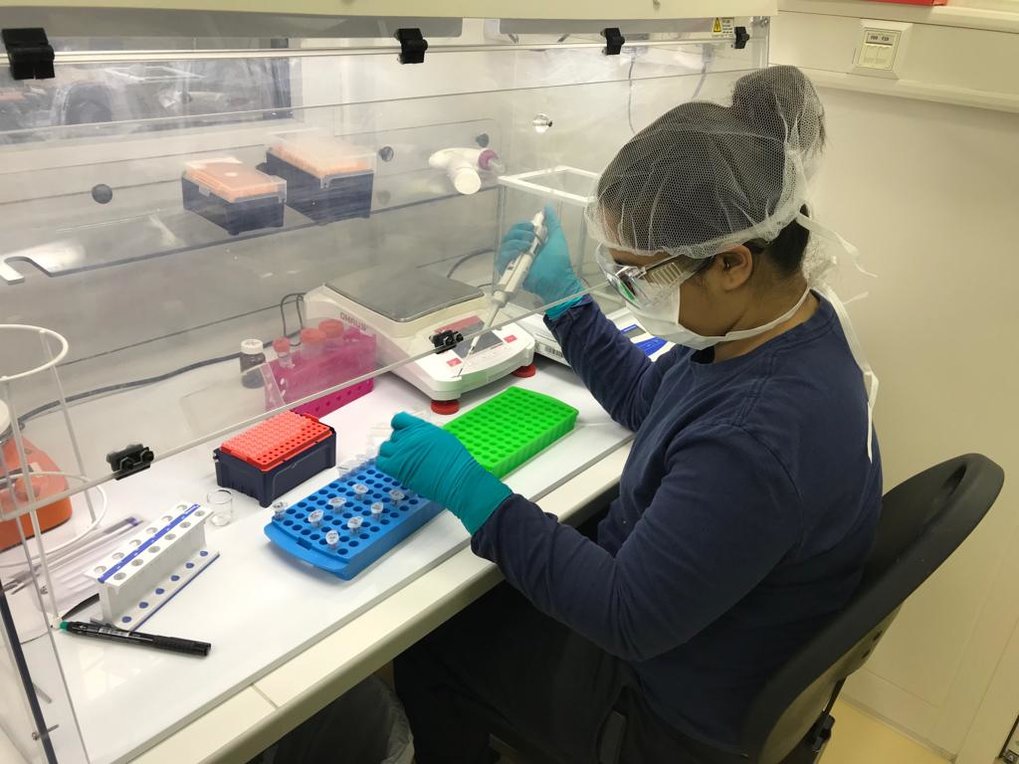 Ayushi Nayak extracting ancient proteins from samples under clean-room conditions in the Proteomics Laboratory at the Department of Archaeology.