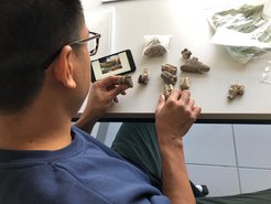 Noel Amano undertaking zooarchaeological analyses.