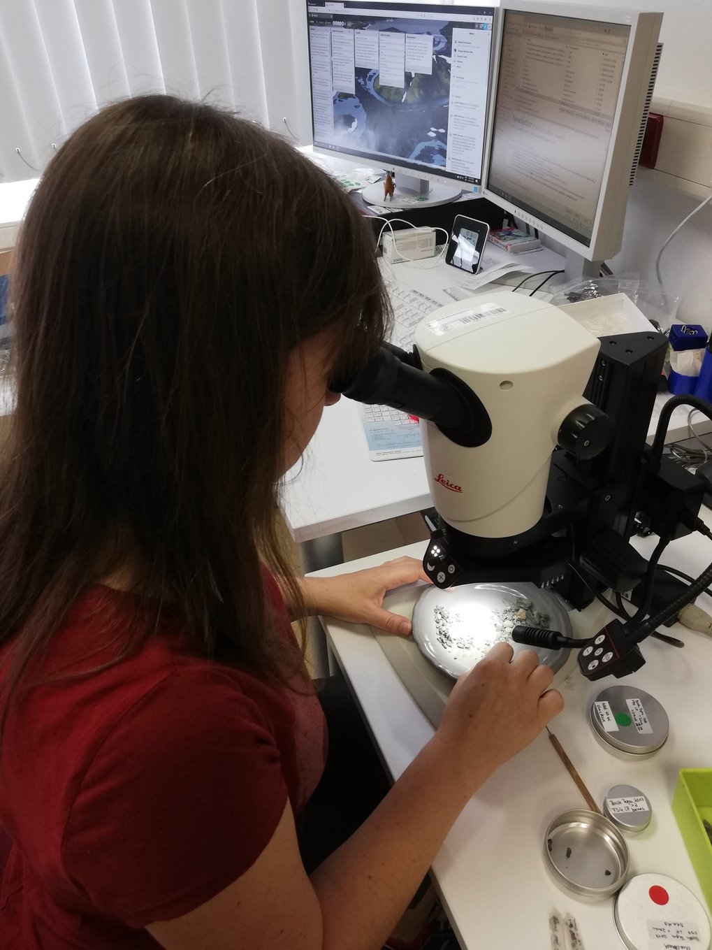 Stefanie Schirmer undertaking microscopic analysis of charred seed remains in the Microscopy and Palaeobotany Laboratories at the Department of Archaeology.