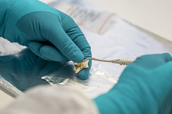 Sampling dental calculus under clean room conditions in Department of Archaeology.