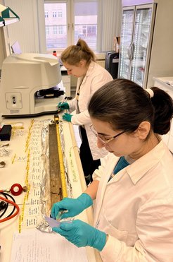 Stefanie Schirmer undertaking microscopic analysis of charred seed remains in the Microscopy and Palaeobotany Laboratories at the Department of Archaeology.