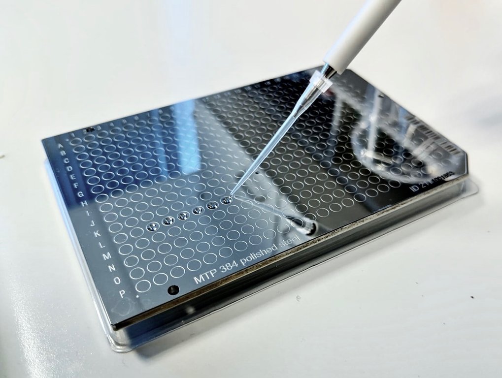 The preparation of a sample plate for ZooMS analysis in LRF MALDI-TOF.